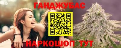 крисы Ставрополь