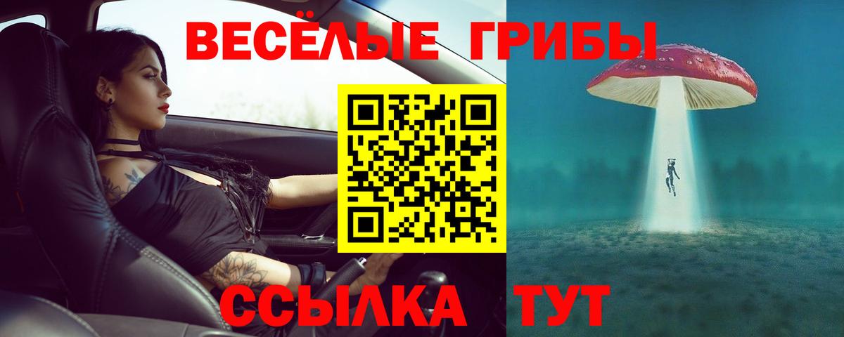 Павлово  Галлюциногенные грибы ЛСД  Вход с VPN 