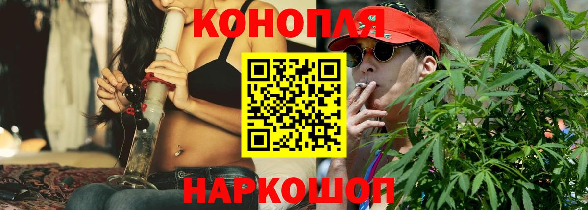 Конопля OG Kush Павлово